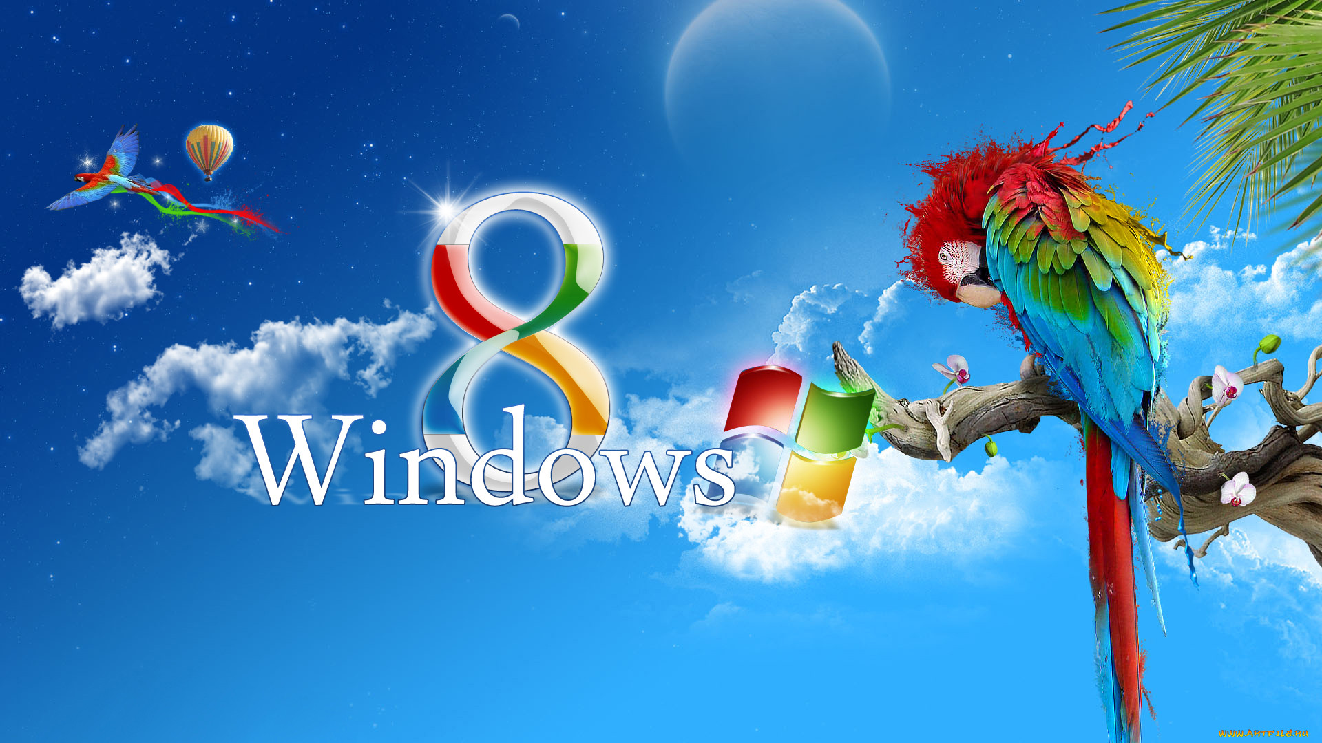, windows